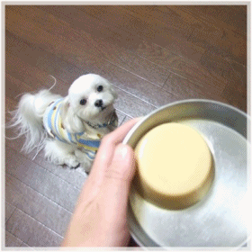 f0148595_1840182.gif