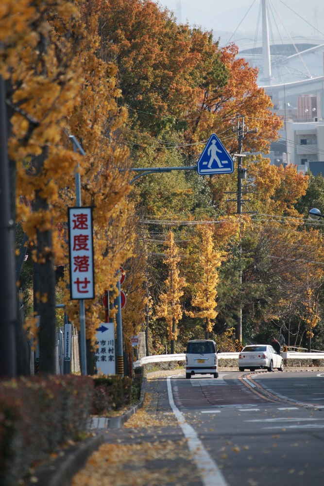 f0148697_21484816.jpg