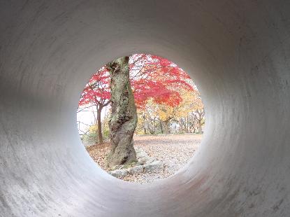 恐るべし納豆菌_e0077899_6273715.jpg