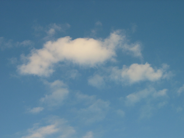 f0143299_050191.jpg