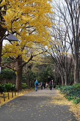 上野の森、チベット展へ_c0124100_204734100.jpg