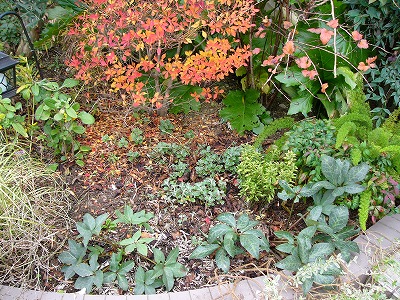 a0123003_19322068.jpg
