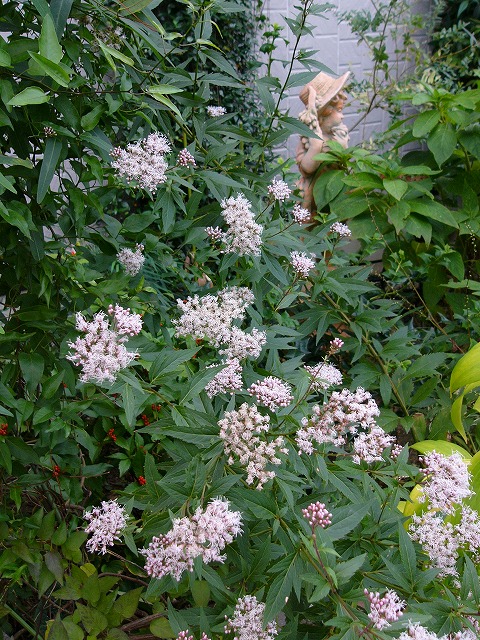 a0123003_19583735.jpg