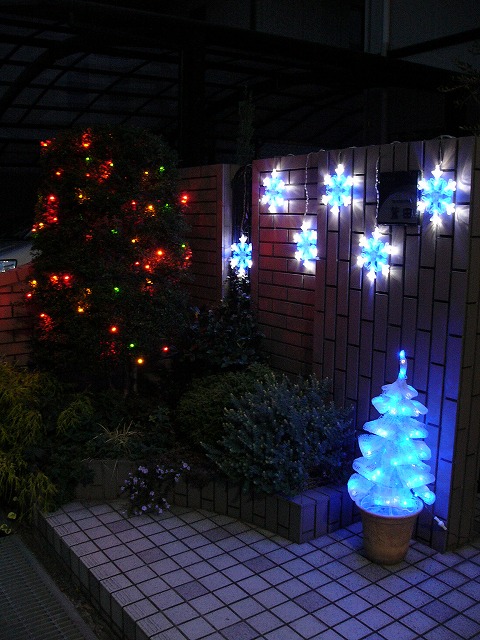 a0123003_20424990.jpg