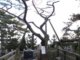 f0144003_190010.jpg