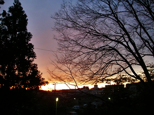 d0144618_19264015.jpg