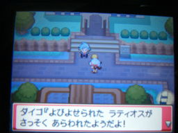 ポケットモンスターハートゴールドプレイ日記 ニビ トキワ つきねこの日記