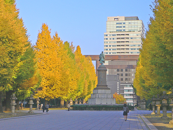 東京散策　公孫樹の秋　　　達崎　達　　（今田）_b0012636_9275555.jpg