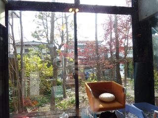Cafe Gallery Maya 熊本市若葉。_a0143140_101039.jpg