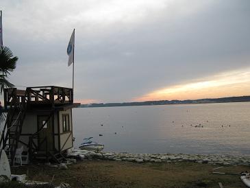 a0139242_169872.jpg