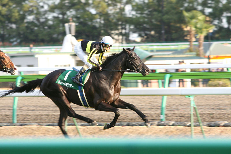 初撮影 競馬_e0055642_141145.jpg