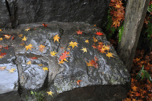 c0093046_13475372.gif