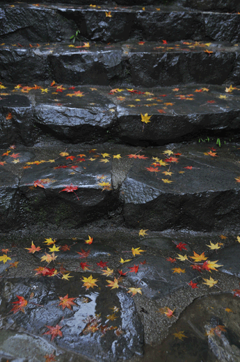 c0093046_13482496.gif