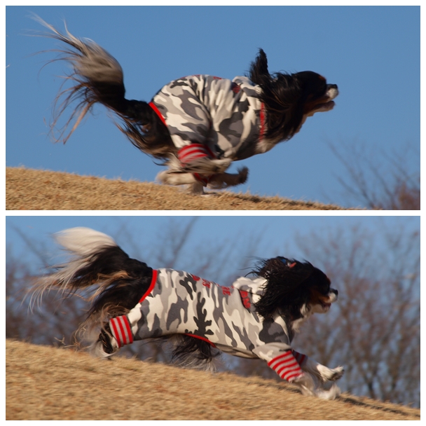 山遊び♪_c0145250_16243676.jpg