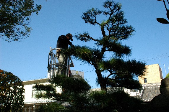 　　和歌山西國三十三ヶ所観音霊場めぐり_b0093754_23385354.jpg