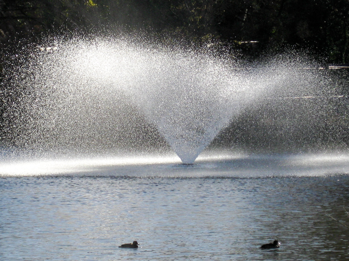 紅葉の井の頭公園_b0167256_8562390.jpg