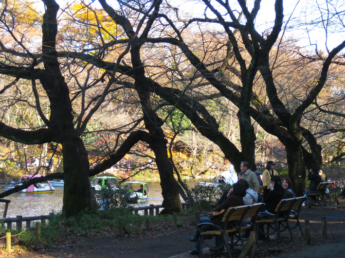 紅葉の井の頭公園_b0167256_8582323.jpg