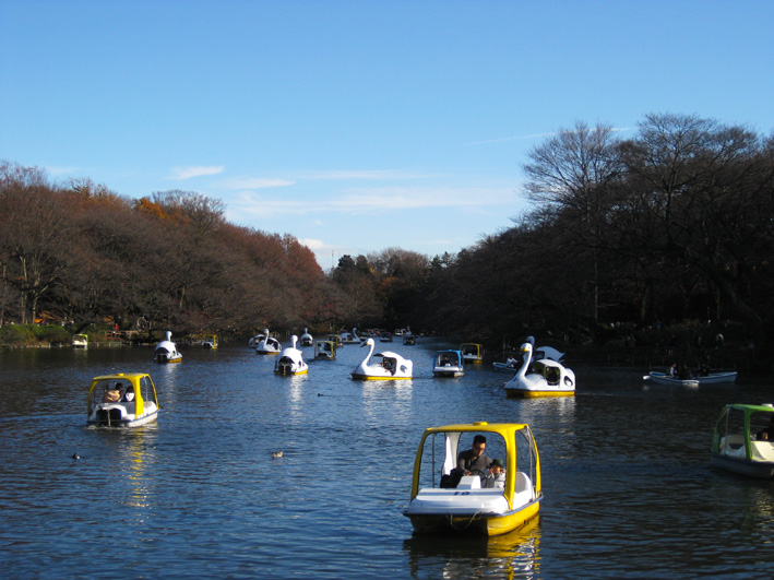 紅葉の井の頭公園_b0167256_91393.jpg