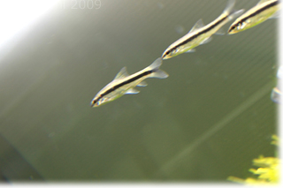 e0139056_22113389.jpg