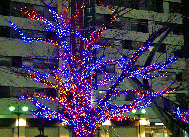 a0130057_132511.jpg
