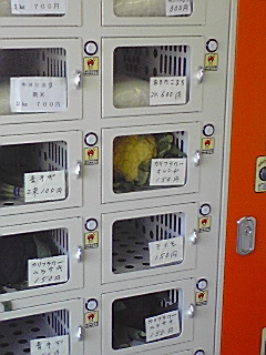 野菜の自動販売機_e0136066_0282051.jpg