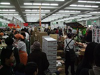 美味しいビールを安く ファミリーフェア で 爺の悠遊生活