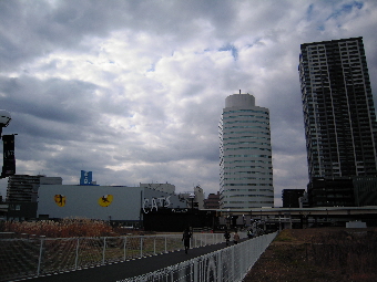 『キャッツ』_e0033570_20392596.jpg