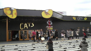 『キャッツ』_e0033570_20394759.jpg