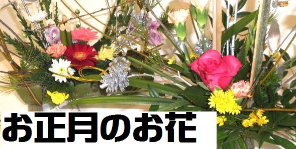 お正月のお花はいかがですか？_c0069372_0264115.jpg