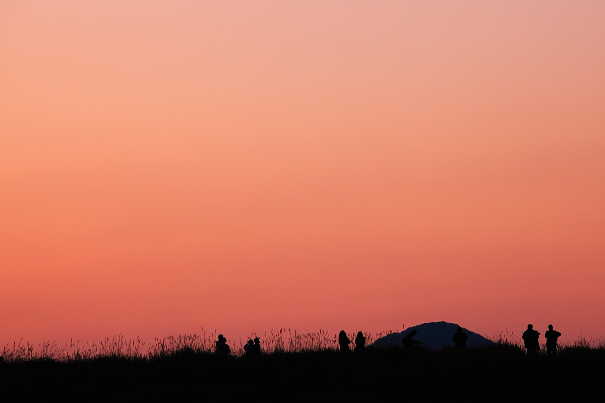 magic hour　～曽爾高原_f0057178_1322087.jpg