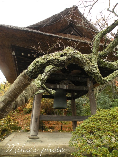 北鎌倉散策～東慶寺～_a0124689_12215463.jpg