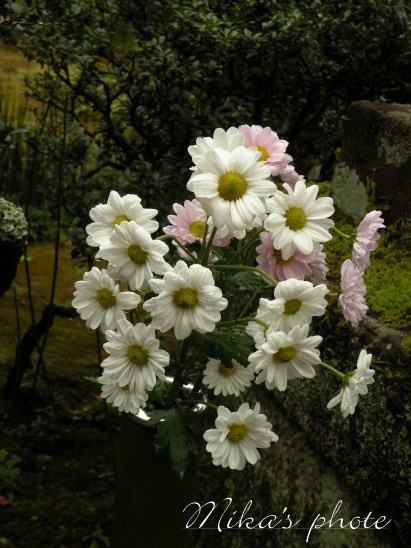 北鎌倉散策～東慶寺～_a0124689_12322339.jpg