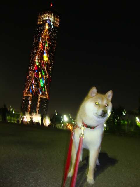 私のクリスマスソング_a0126590_6352781.jpg