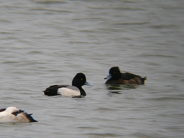 c0213690_3393998.jpg