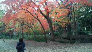 a0107792_1404634.jpg