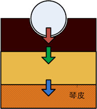 究極の駒再び！8 ( 材質に踏み込んでみる )_b0098997_335827.jpg