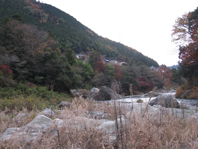 e0031613_15721.jpg