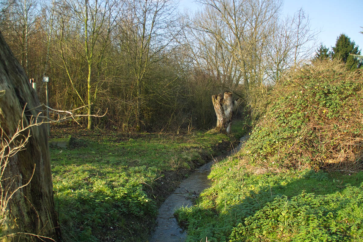 b0148617_16573621.jpg