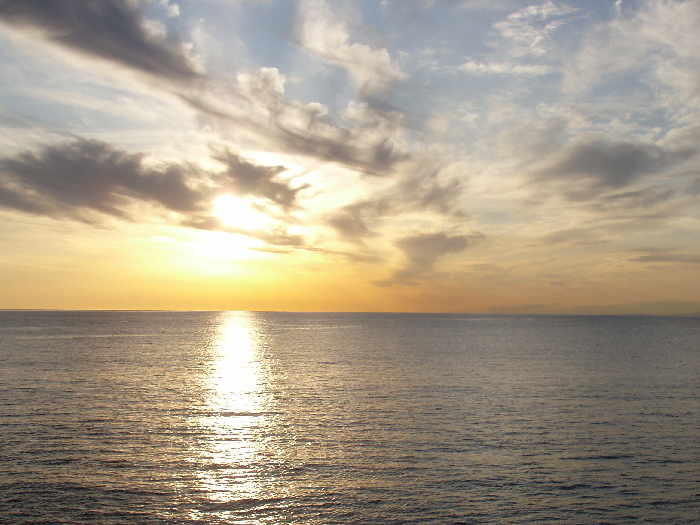 f0103126_2014136.jpg