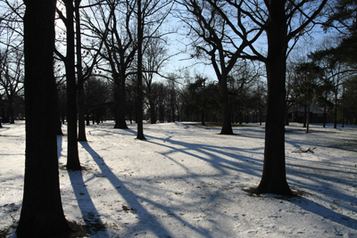 024 High Park ~水鳥はどこへ?~_c0211532_355447.jpg