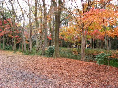 d0132439_01935.jpg