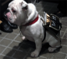 a0150244_0413976.gif