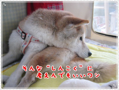 愛するサイ子のためなら_c0049950_2345352.jpg