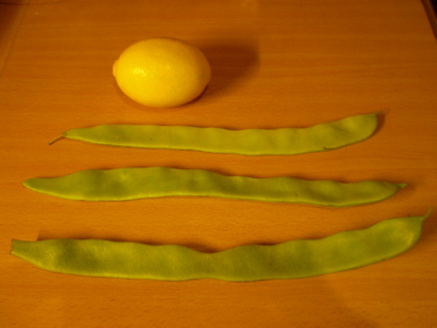 b0111857_415134.jpg
