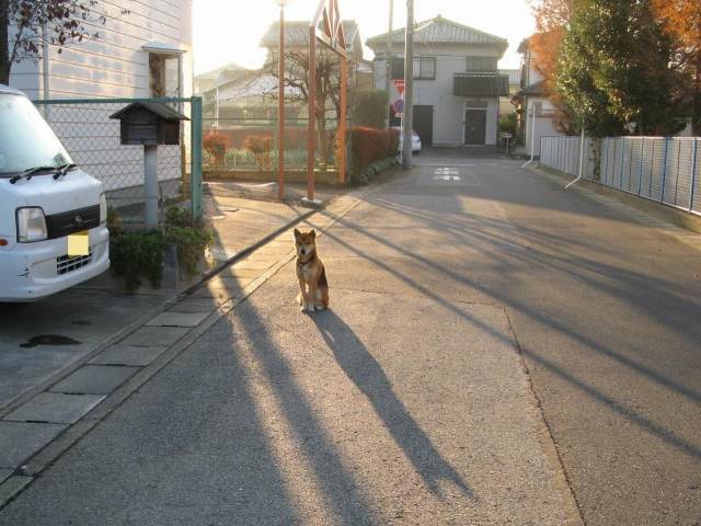 c0202659_12329.jpg