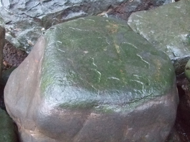 f0142070_17341316.jpg