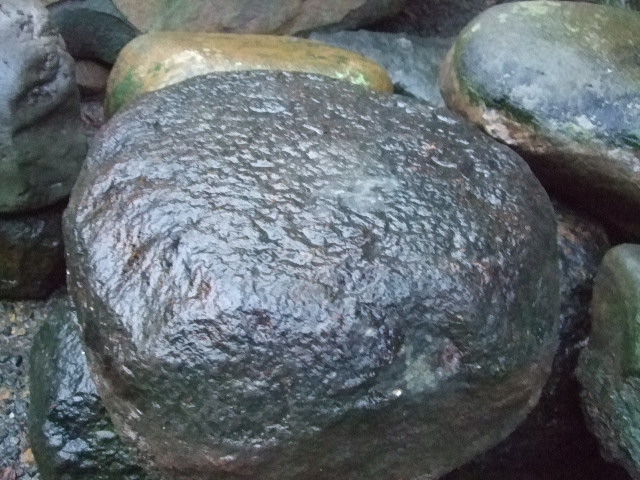 f0142070_1734640.jpg