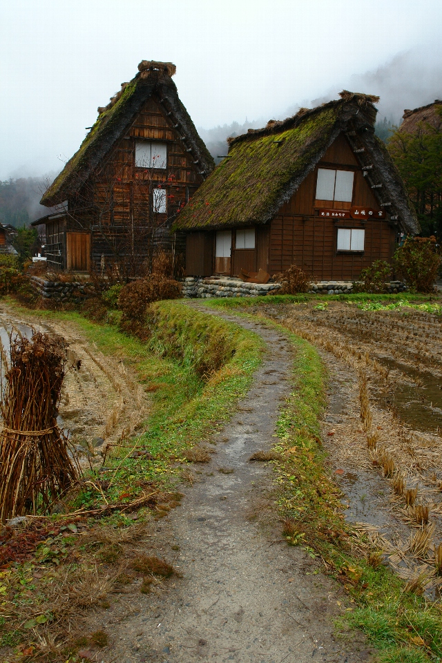 社員旅行@白川郷_a0119373_2317610.jpg