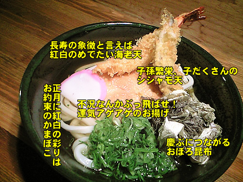2010年は年明けうどんで!_c0092877_2193369.jpg