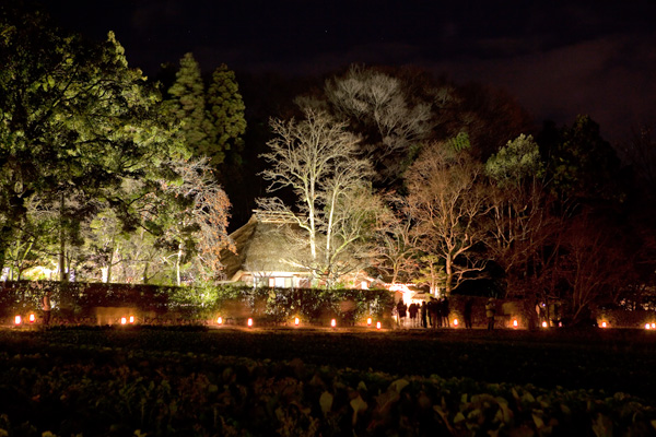 京都・嵐山　　花灯路　2009　嵯峨野_c0210180_21462695.jpg